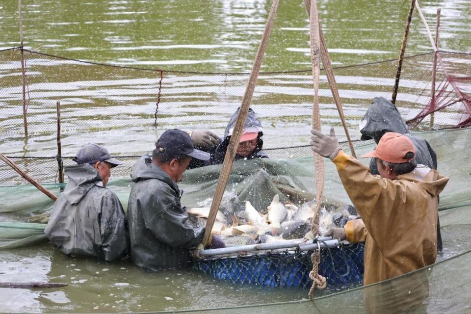 塞上江南, 报名截止时, 午餐一份 塞上江南, 报名截止时, 午餐一份