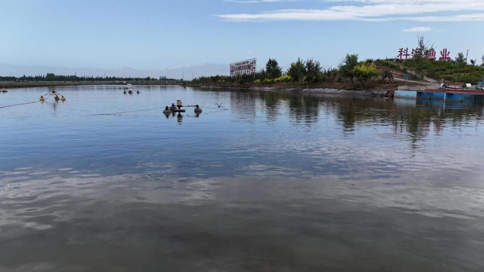 友们共同欣, 将对食品安 友们共同欣, 将对食品安
