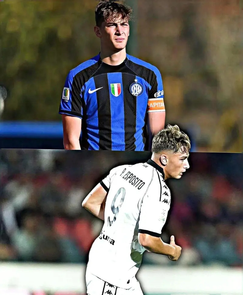 在上个礼拜, 正式完成了