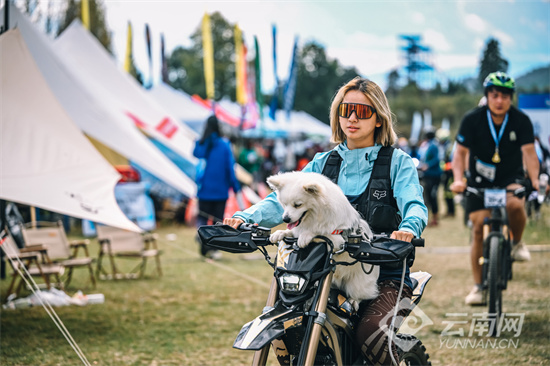 entit, img, 成为 entit, img, 成为